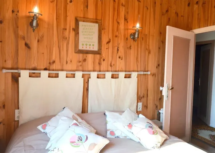 Comme Chez Mamie - Terrasse - Proche Centre 阿尔比