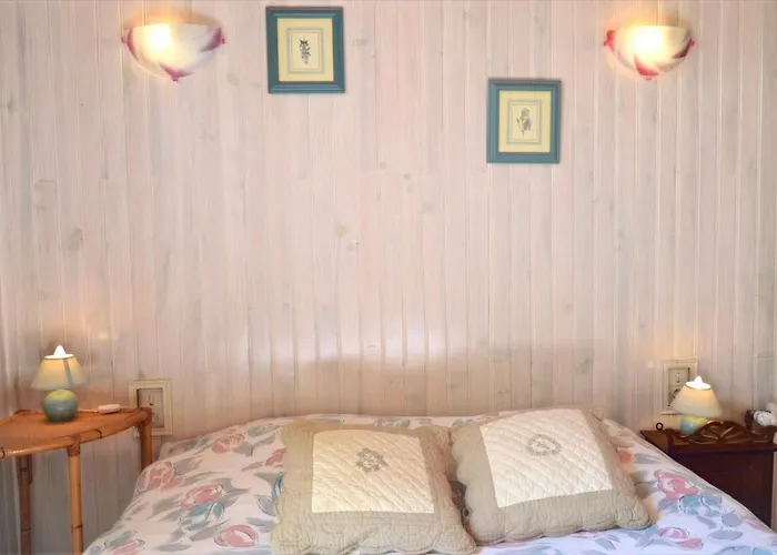 Comme Chez Mamie - Terrasse - Proche Centre 公寓 阿尔比